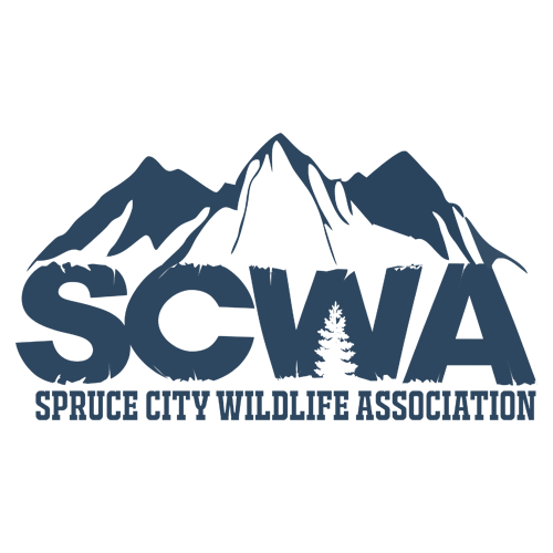 Spruce City Wildlife Association